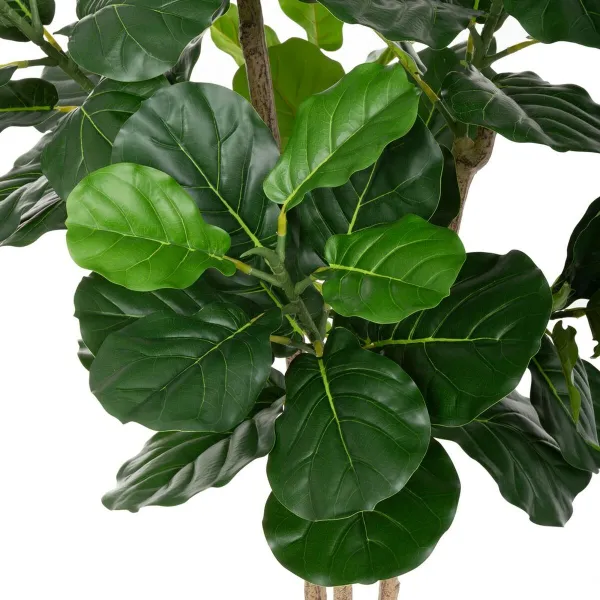 Koristekasvi Polyuretaani Sementti Fiikus 175 cm