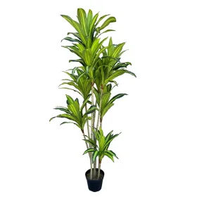 Dekoratīvs Augs Poliuretāns Cements 180 cm