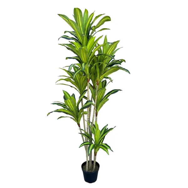 Koristekasvi Polyuretaani Sementti 180 cm