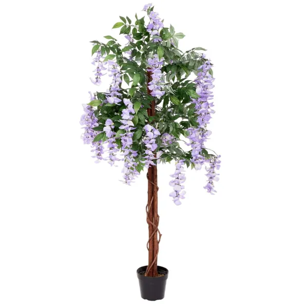 Koristekasvi Sementti Materiaali 210 cm