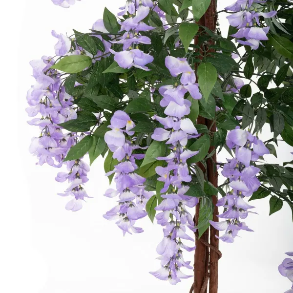 Dekoratyvinis augalas Cementas Medžiaga 150 cm
