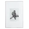 Canvas Putnu 60 x 2,5 x 90 cm