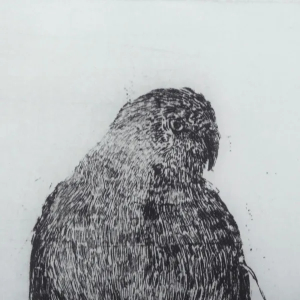 Drobė Paukščių 60 x 2,5 x 90 cm