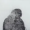 Drobė Paukščių 60 x 2,5 x 90 cm