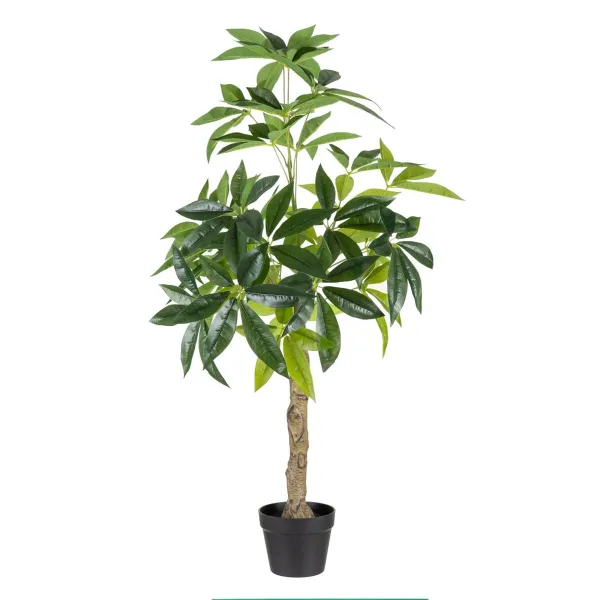 Dekoratyvinis augalas 54 x 52 x 120 cm Žalia PVC