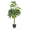 Dekoratyvinis augalas 54 x 52 x 120 cm Žalia PVC