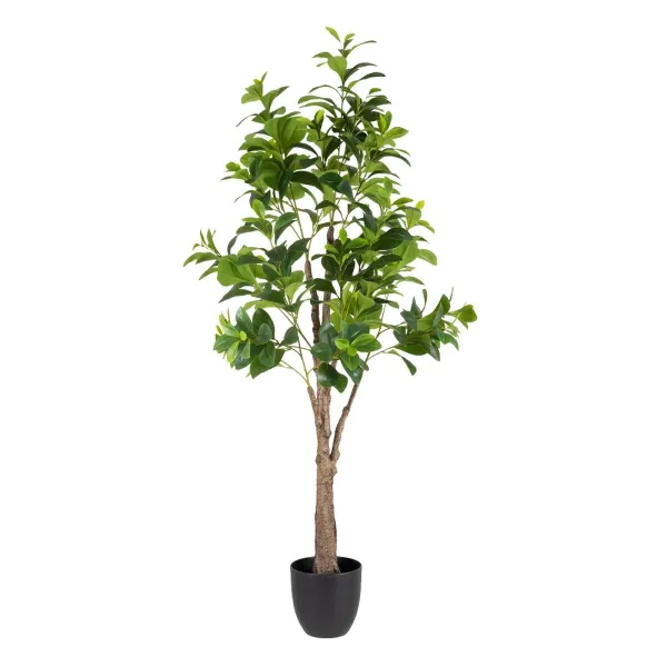 Dekoratīvs Augs Zaļš PVC 145 cm Peperomia