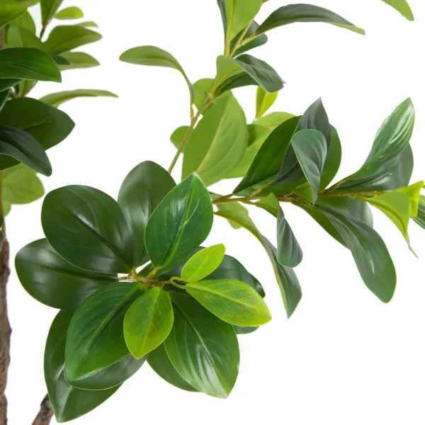 Dekoratīvs Augs Zaļš PVC 145 cm Peperomia