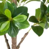 Koristekasvi Vihreä PVC 145 cm Peperomia