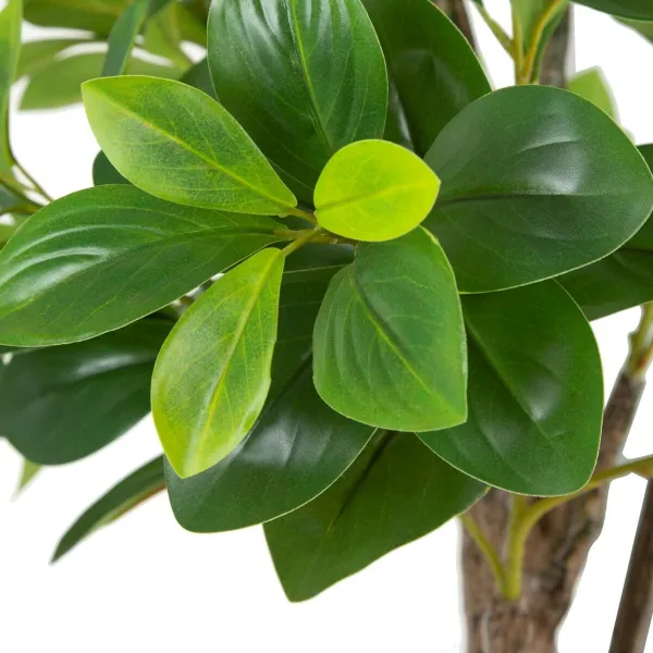 Koristekasvi Vihreä PVC 145 cm Peperomia