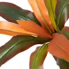 Koristekasvi Dracaena Ruskea Vihreä PVC 140 cm