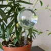 Apūdeņošanas bumbiņas - 8 gab. Gardlov 21043
