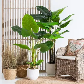 Dekoratīvs Augs 80 x 90 x 140 cm Zaļš Philodendron