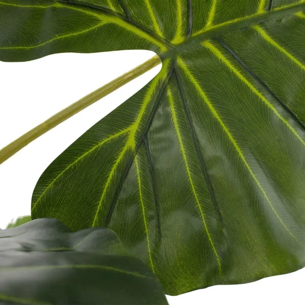 Dekoratīvs Augs 80 x 90 x 140 cm Zaļš Philodendron