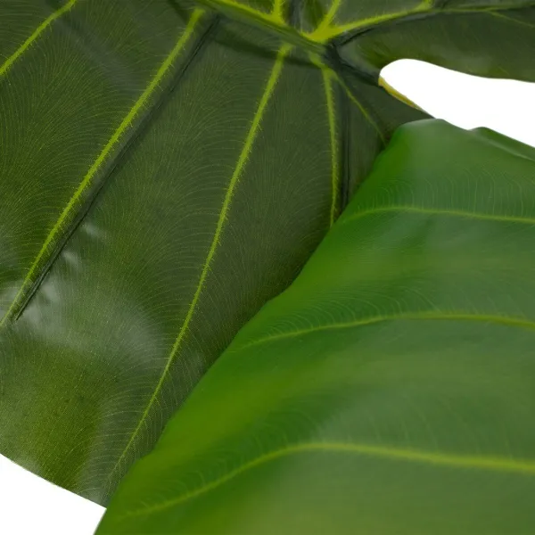 Dekoratīvs Augs 80 x 90 x 140 cm Zaļš Philodendron