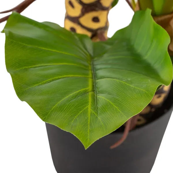 Dekoratīvs Augs 80 x 90 x 140 cm Zaļš Philodendron