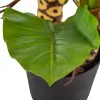 Dekoratīvs Augs 80 x 90 x 140 cm Zaļš Philodendron