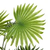 Oksa PVC Polyetyleeni Rauta 60 x 60 x 64 cm