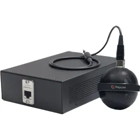 Ausinės Poly 875S1AA