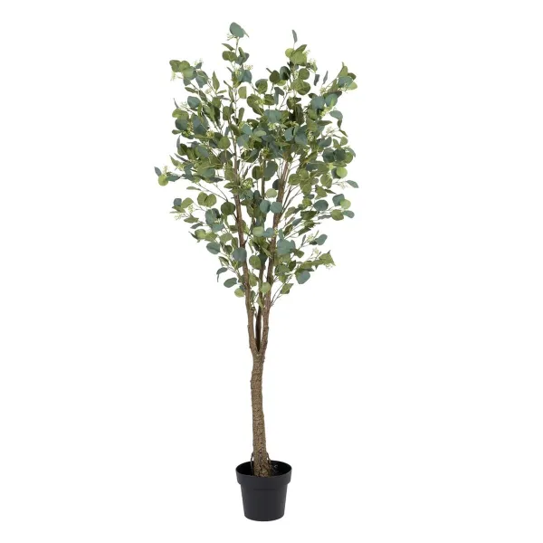Декоративное растение 80 x 75 x 173 cm Зеленый PVC Эвкалипт