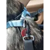 Dog Carrier for Seat Purlov 20973