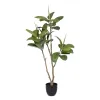 Dekoratyvinis augalas 116 cm Žalia PVC Ąžuolas