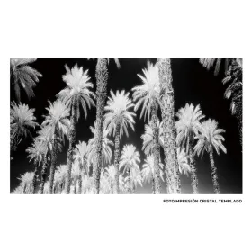 Canvas Plaukstas 120 x 4 x 70 cm Palmas koks