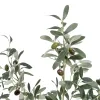 Koristekasvi Polyesteri Polyetyleeni Oliivipuu 56 x 48 x 78 cm