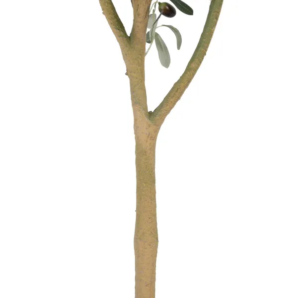 Koristekasvi Polyesteri Polyetyleeni Oliivipuu 55 x 60 x 112 cm