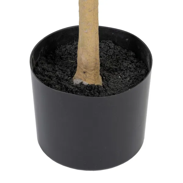 Koristekasvi Polyesteri Polyetyleeni Oliivipuu 55 x 60 x 112 cm