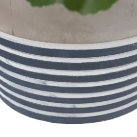 Decorative Plant Cement PEVA Sheets 11,5 x 11,5 x 39 cm
