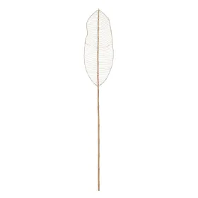 Zars Bambuss Rotangpalma Lapa 30 x 2 x 200 cm