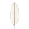 Branch Bamboo Rattan Sheet 30 x 2 x 200 cm