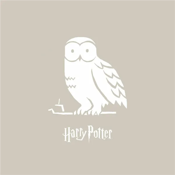 Nordic cover Harry Potter Magical Hedwig Multicolour 175 Threads 200 x 200 cm Small double