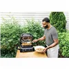 Electric Barbecue NINJA OG701EU Wood