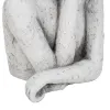 Biustas Molis Moteris 35 x 28 x 54 cm