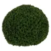 Decorative Plant PVC 38 x 38 x 38 cm 38 x 38 cm