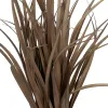 Dekoratyvinis augalas PVC Plienas Cementas 10 x 10 x 9 cm 61 cm