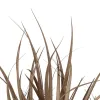 Decorative Plant PVC Steel Cement 10 x 10 x 9 cm 61 cm