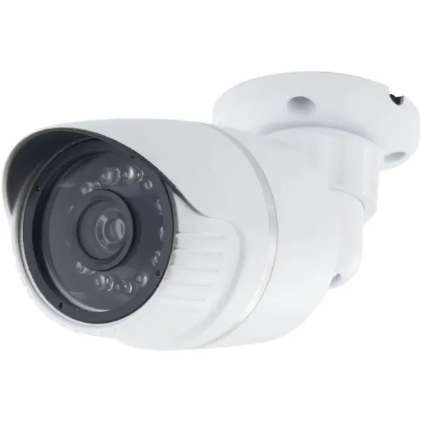 Simulated security camera Chacon