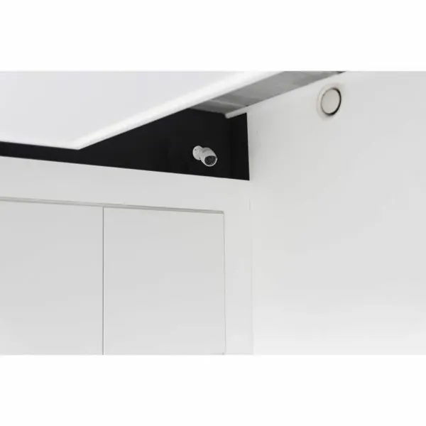 Simulated security camera Chacon