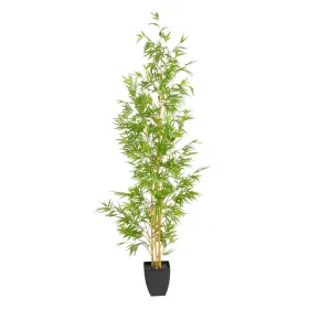 Dekoratīvs Augs Polietilēns Bambuss 90 x 86 x 220 cm