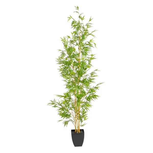 Dekoratīvs Augs Polietilēns Bambuss 90 x 86 x 220 cm