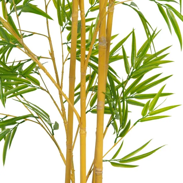 Koristekasvi Polyetyleeni Bambu 90 x 86 x 220 cm