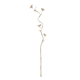 Branch Beige Bamboo Natural Fibre Flower 27 x 27 x 170 cm