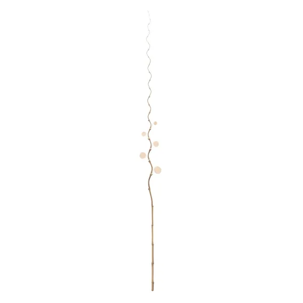 Zars Krēmkrāsa Bambuss Rotangpalma 5 x 0,5 x 190 cm