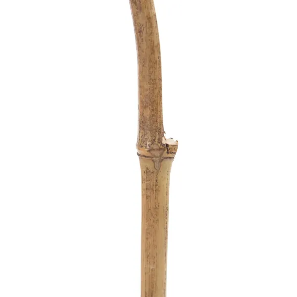 Branch Cream Bamboo Rattan 5 x 0,5 x 190 cm