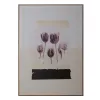 Drobė polistirenas Drobė 100 x 4 x 140 cm