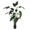 Dekoratyvinis augalas PVC Cementas Medžiaga Rojaus paukštis 50 x 50 x 220 cm