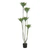 Dekoratyvinis augalas PVC Cementas 40 x 40 x 170 cm